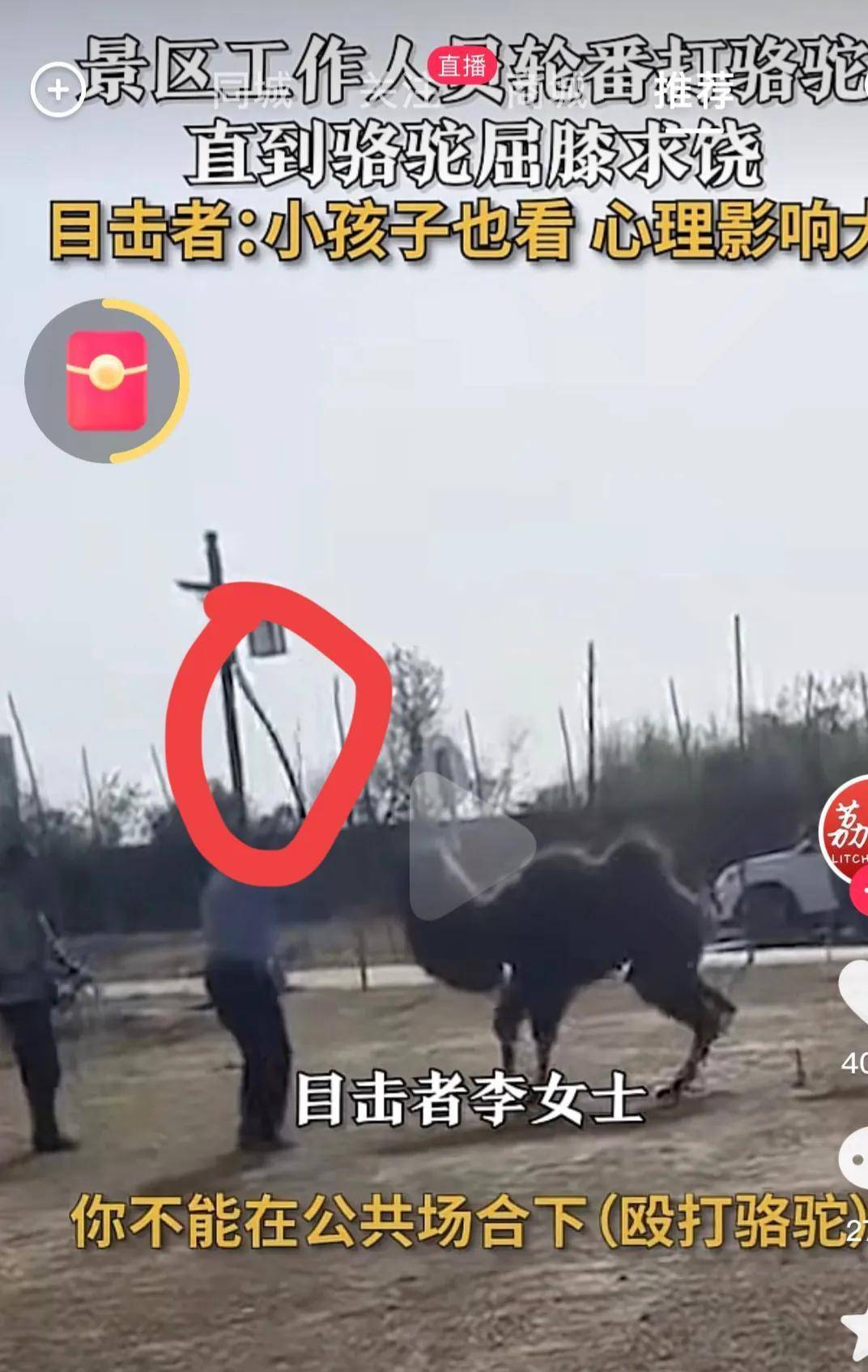太恶劣了！景区工作人员公然棒打骆驼直至骆驼跪地求饶（投诉景区工作人员找哪个部门投诉）