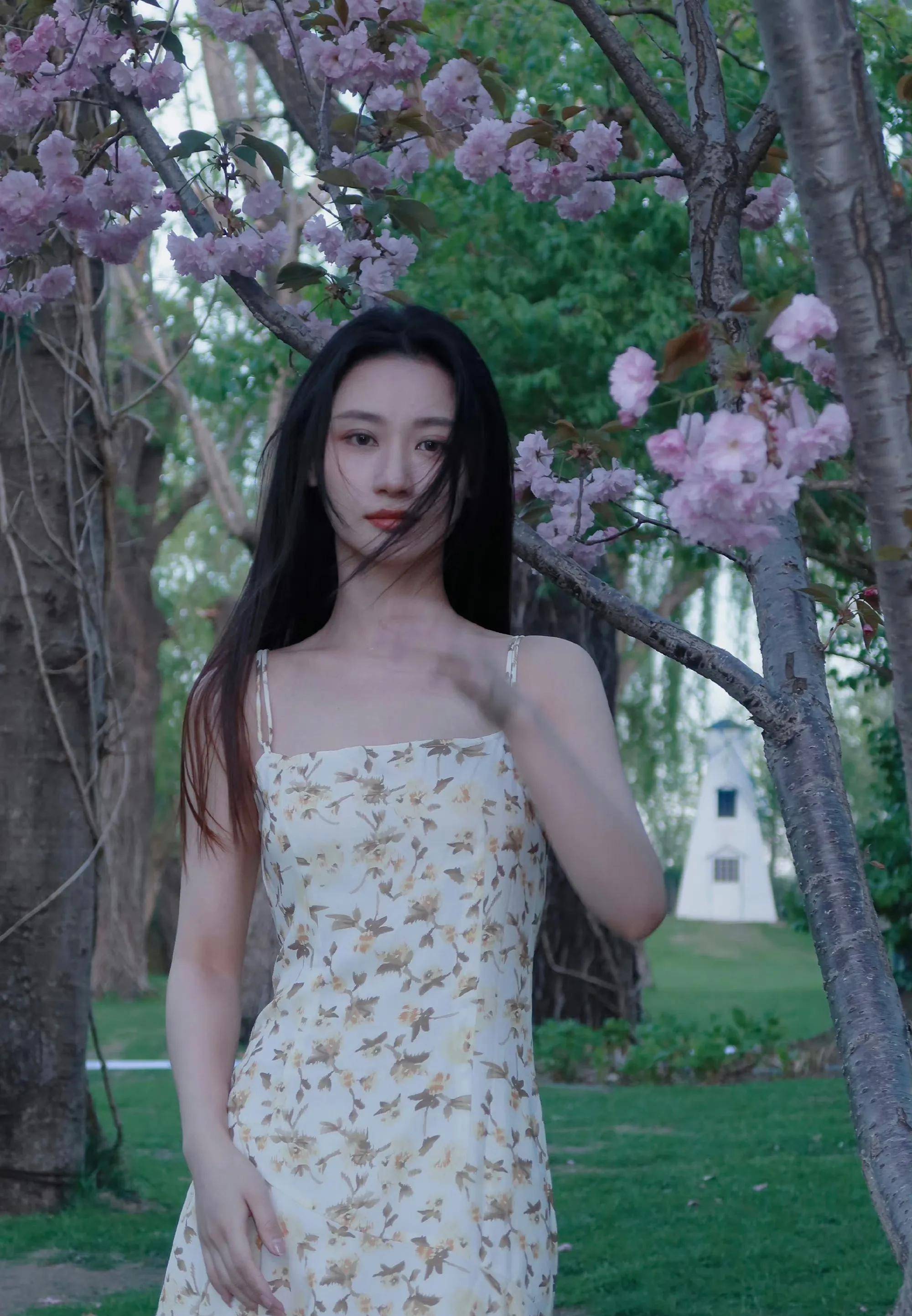 何宣林最新春日樱花浪漫写真曝光,着一件清新的碎花吊带裙来到樱花