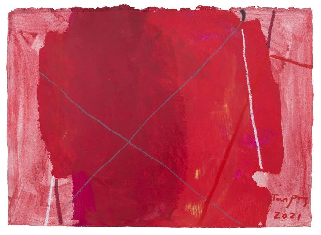 谭平 经历2020年后,在纸上找到快乐的源泉|艺术栗子_作品_画面_丙烯