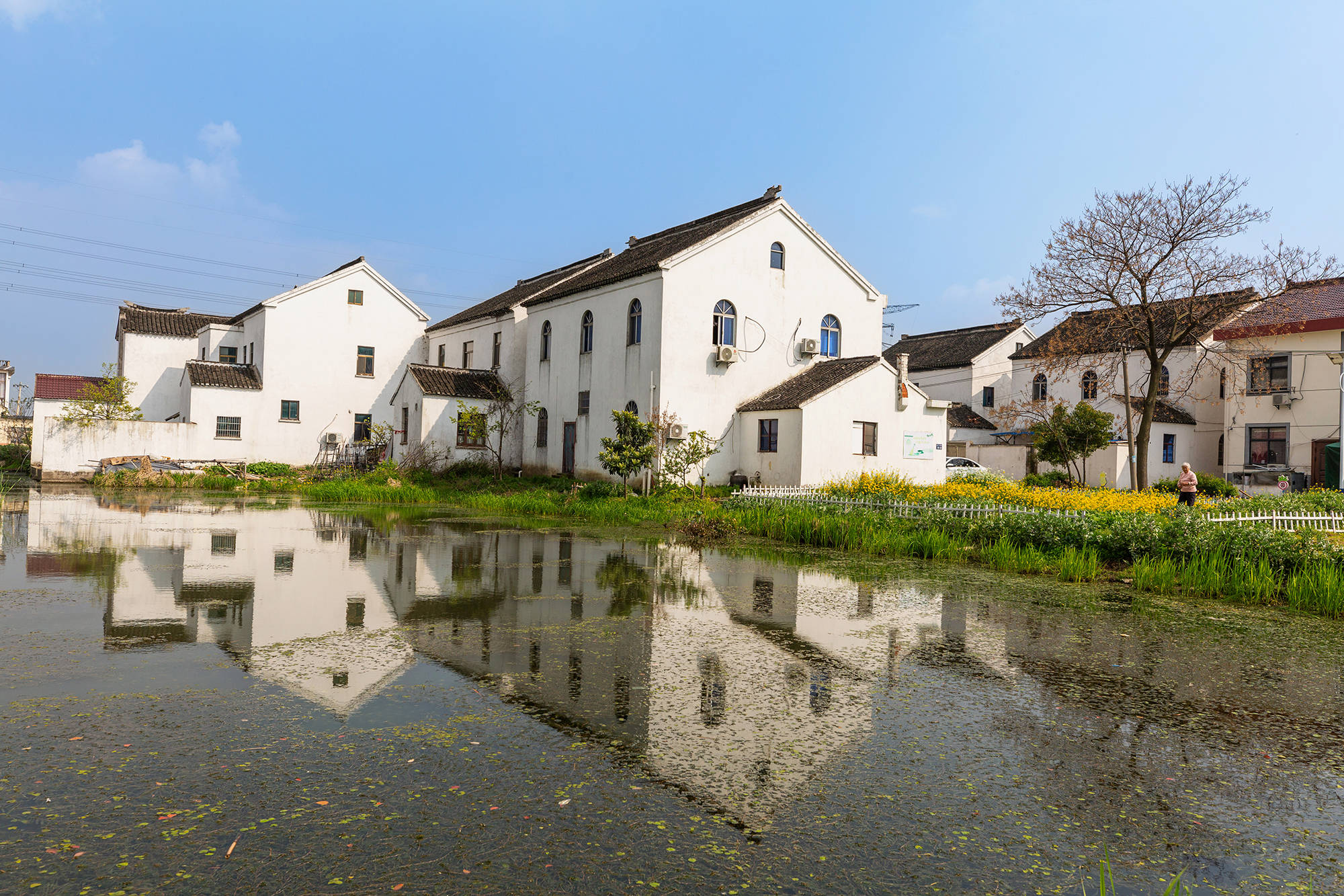 石桥村:旧村换新貌,村民露笑颜_乡村_村庄_北桥街道