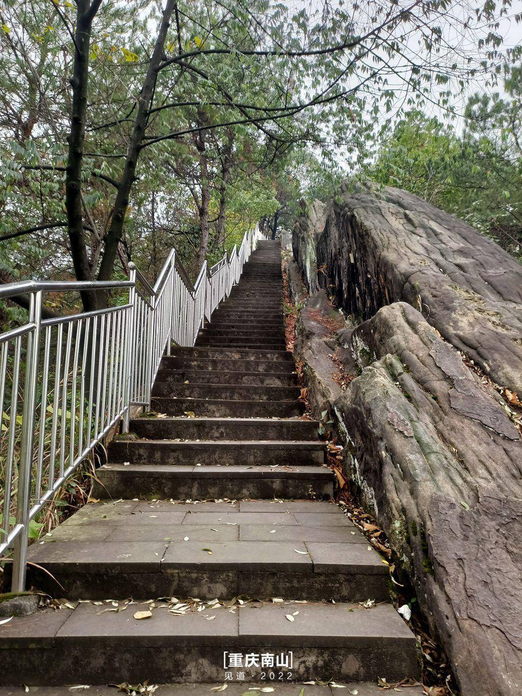 重慶南山入門登山攻略|上新街·捨身崖步道_by_臺階_黃桷