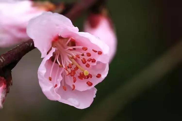 越早知道越好（骗前任怀孕了要分手费）骗前男友怀孕了算诈骗吗知乎 第6张