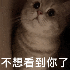吾爱大神出品！视频下载工具复活，全网资源一网打尽（这都可以）