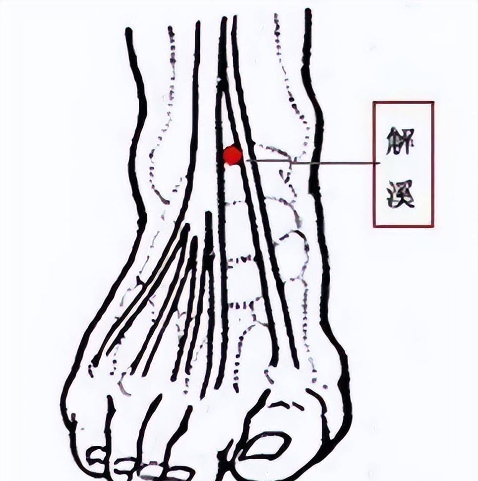 「穴位」在足踝外侧的四个穴位