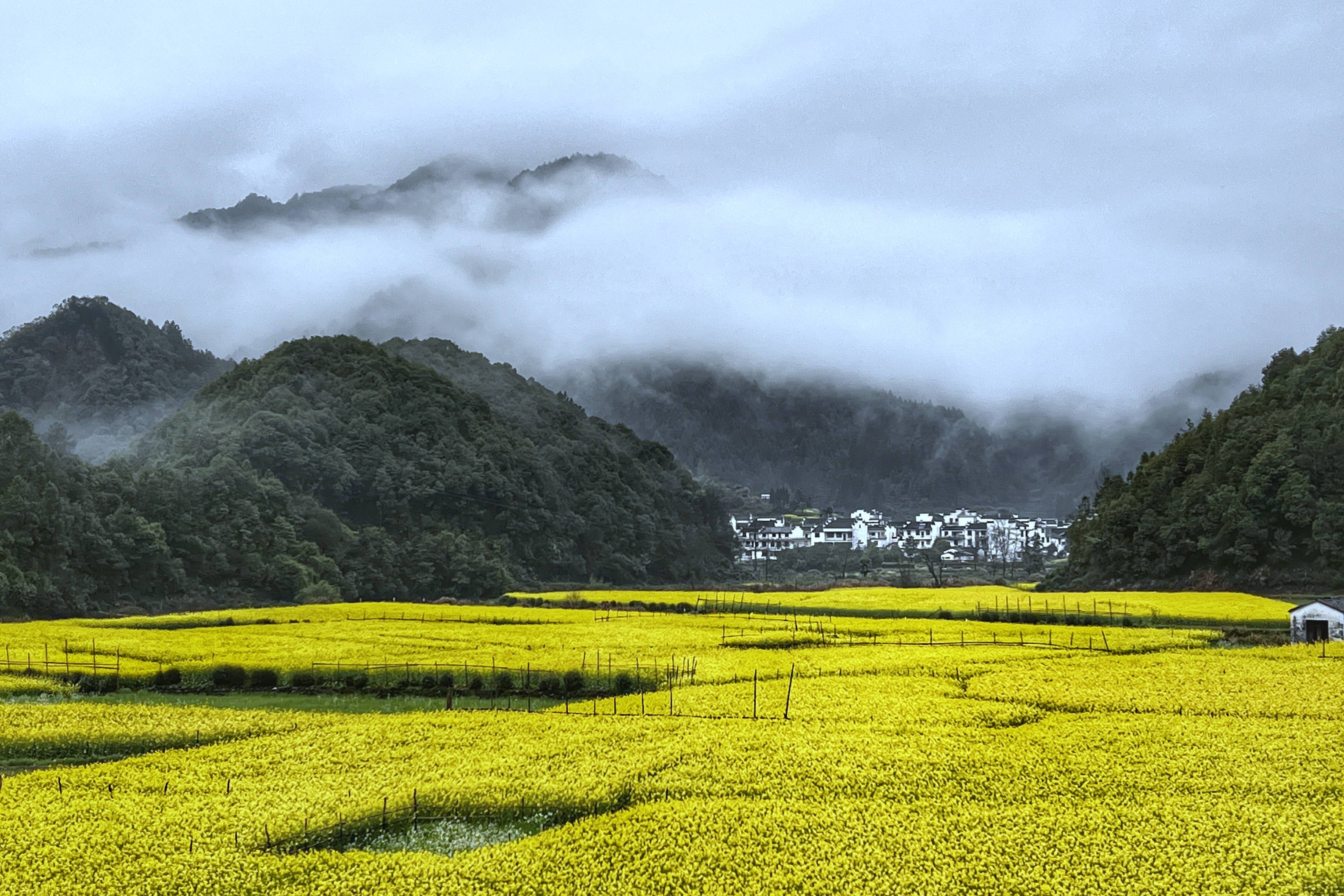 鲜花山水风景图片大全图片