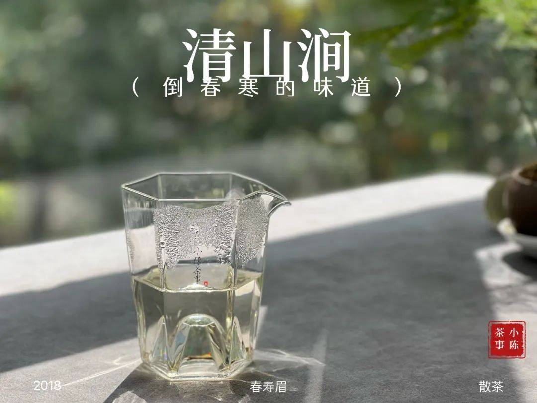 寿眉是什么茶（收藏白茶，为何老茶客更喜欢寿眉）