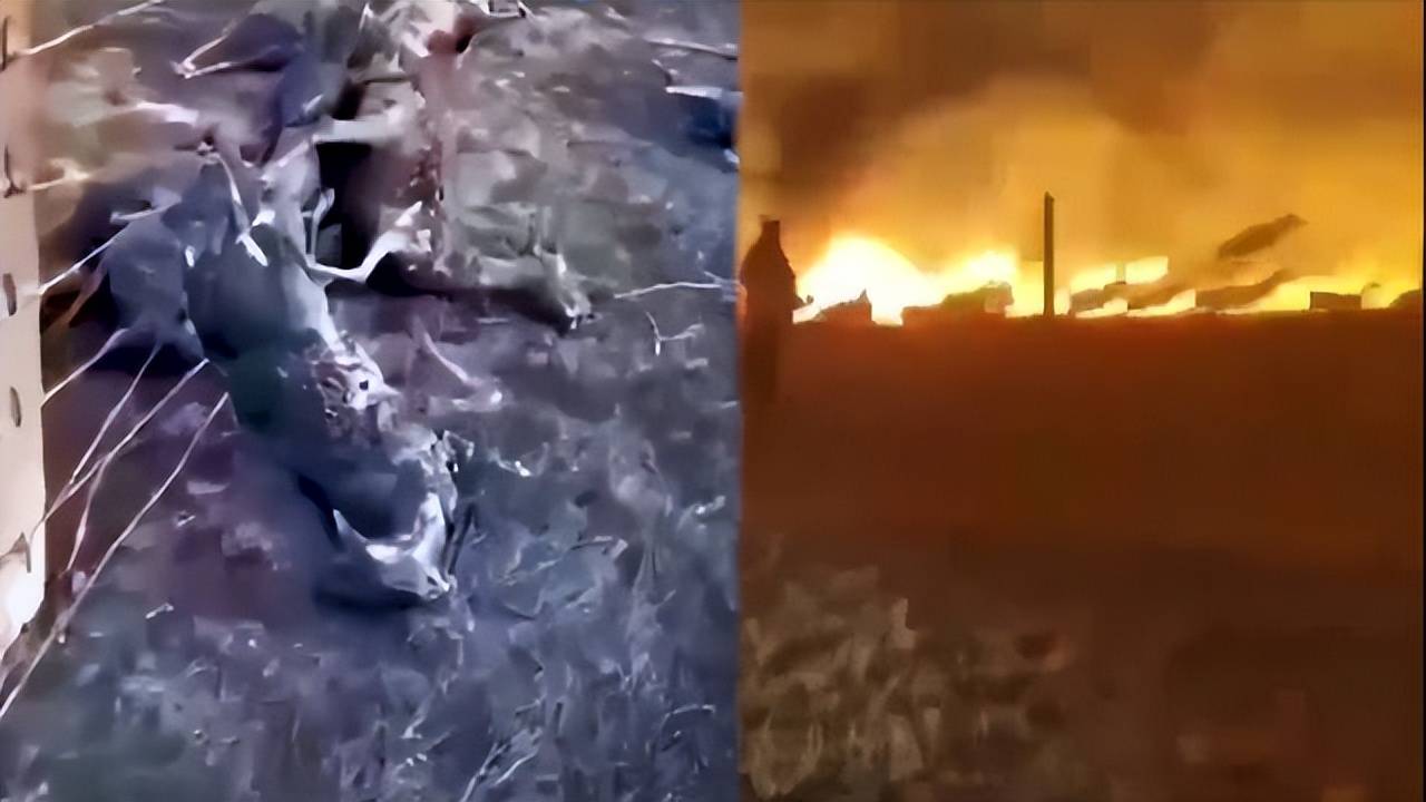 原创            中蒙边境草原起火围栏挂满羊焦尸，为何不能把铁丝网打开呢？-蒙古草原野火被扑灭