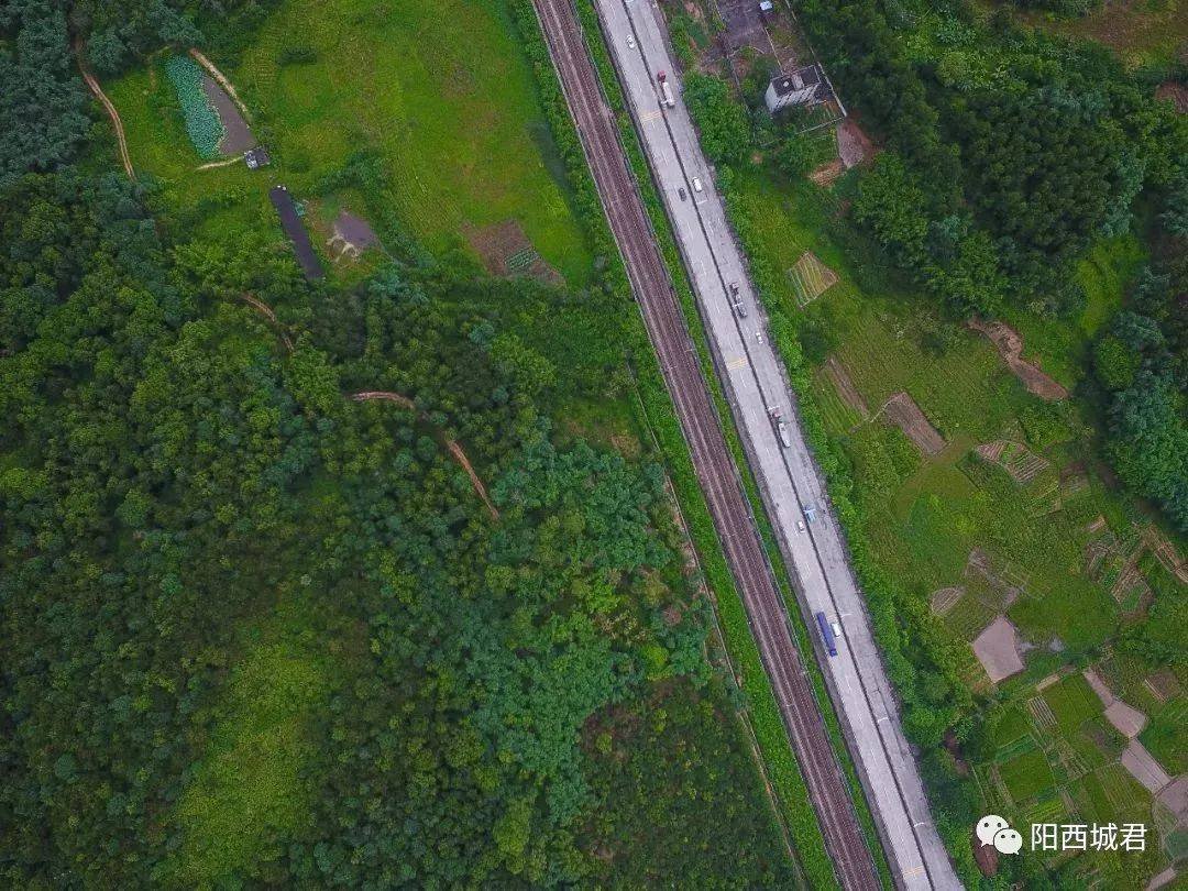 省道s541线阳西县城至上洋段公路改建工程新进展!_建设_设计_项目