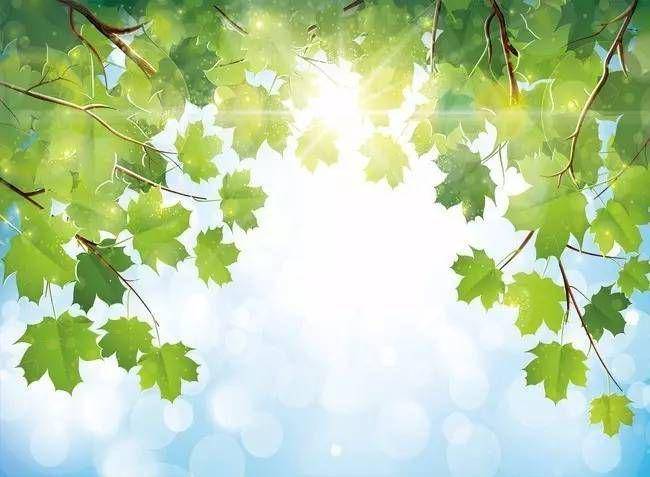 7,增加户外活动充分把握夏季自然界阳气旺盛的时机,多到户外活动,与