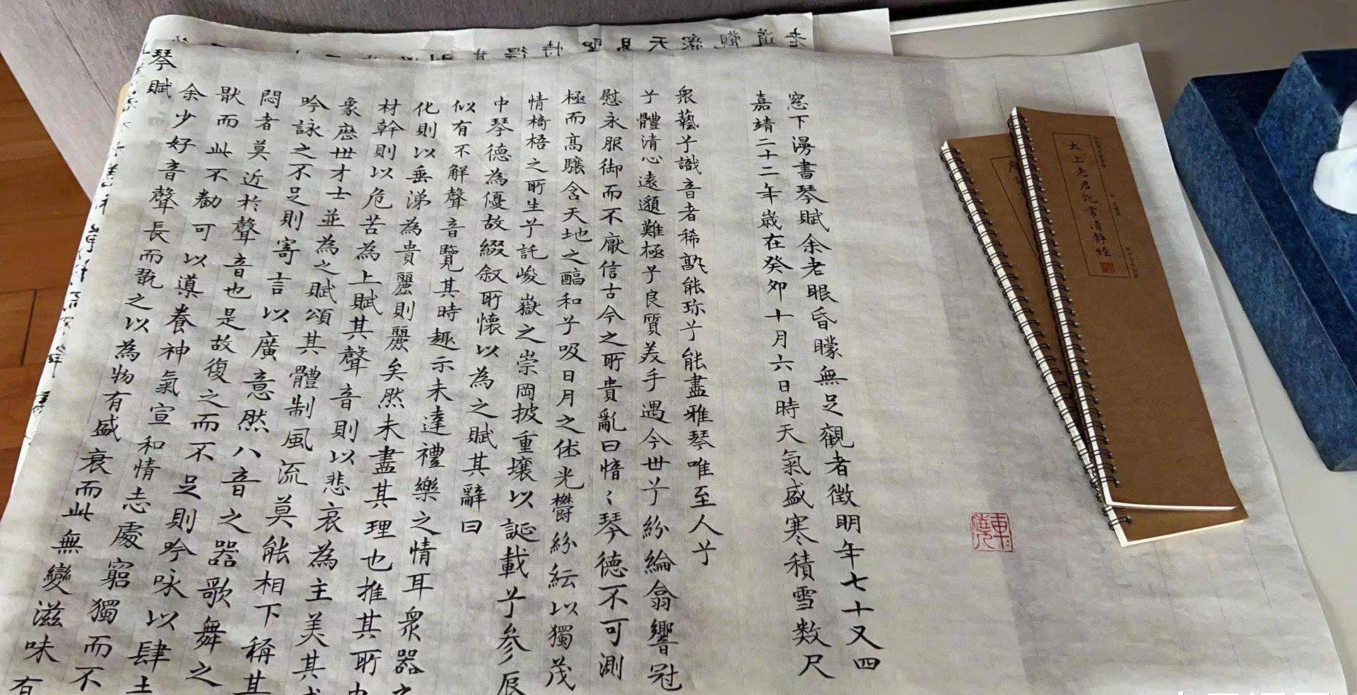 仙气飘飘的车晓,一手精妙绝伦小楷,惊艳了"两圈",不输书法家_朋友