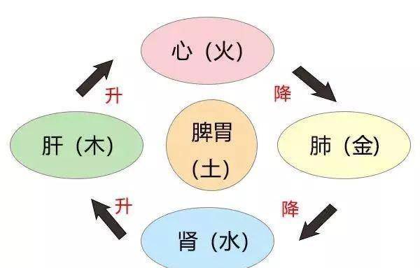 从范进中举到"一气周流"_元气_爸爸_孩子