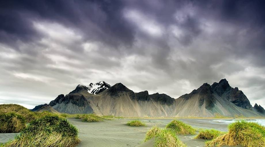 原创            脑筋急转弯：所有生物中，飞得最高的是什么？8岁侄女3秒就答对了