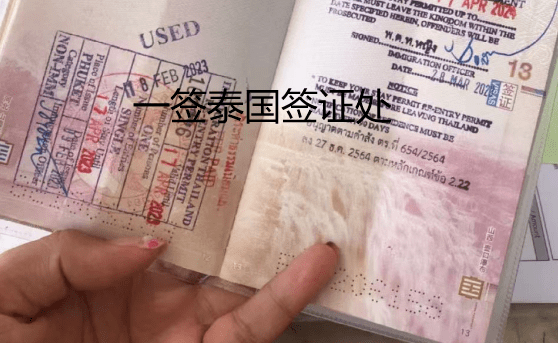 泰国养老签证续签材料（养老签体检要求）  第1张