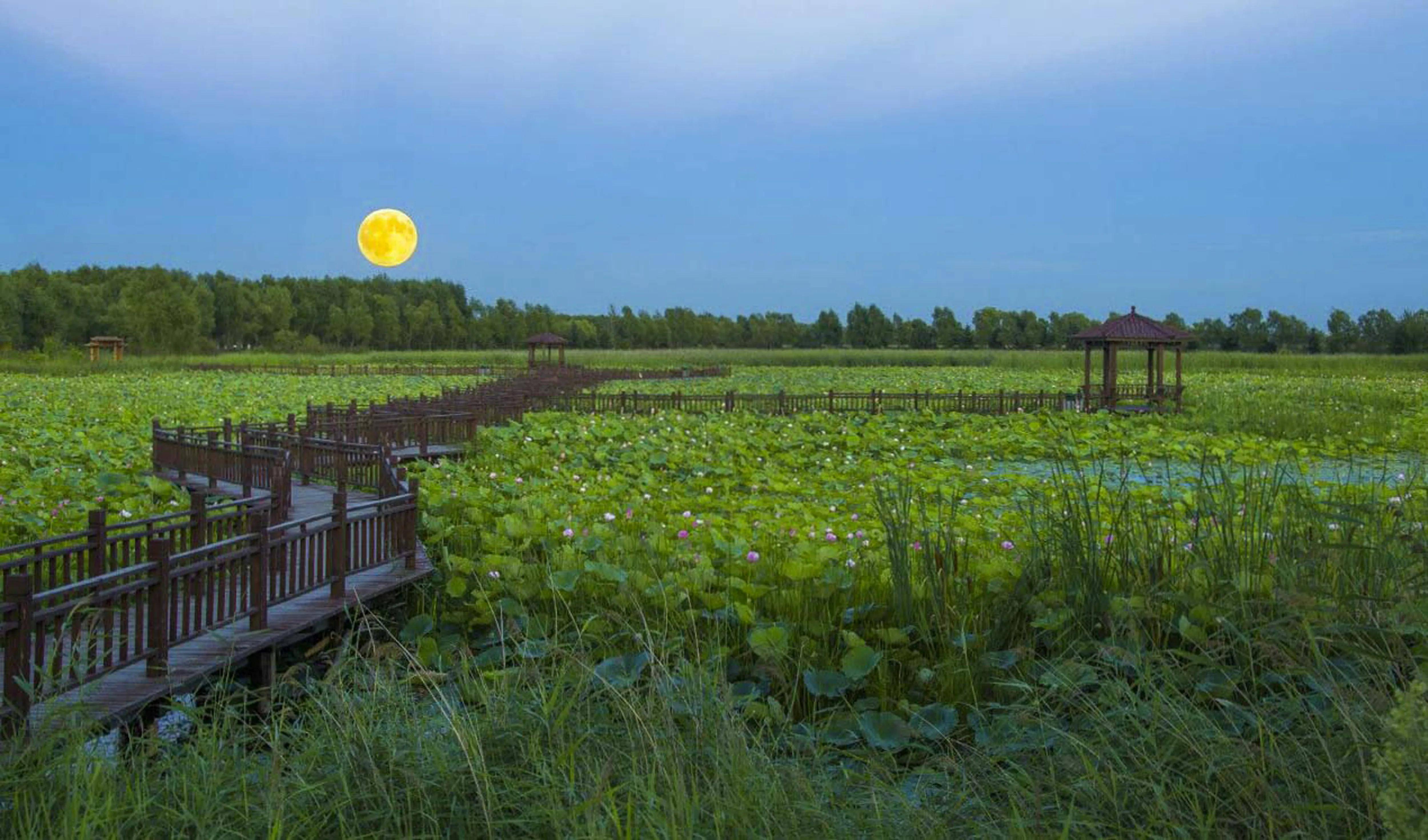 黑龙江省双鸭山市集贤县人居"绿色"生态环境改善明显_时事-天天见闻