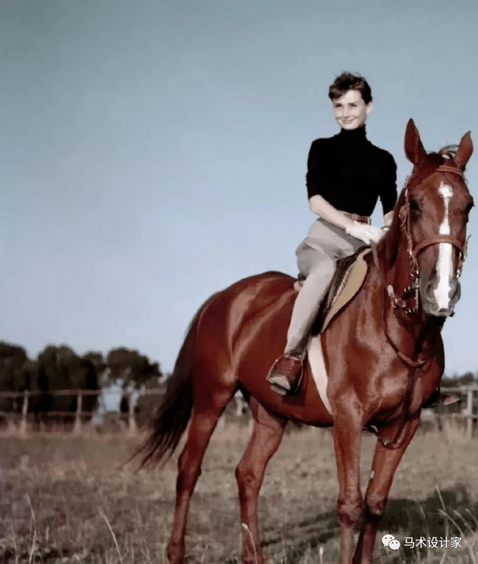 《美女与马》_马术_版权_网络