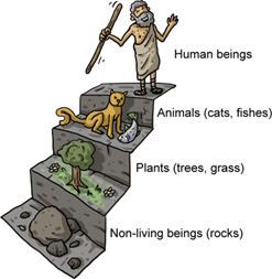进化(evolution)—生命妥协中的呐喊_生物_进行_研究