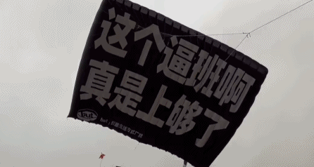 这个逼班啊真是上够了,毕业生晒上班前后图片,大学生:不想毕业_工作
