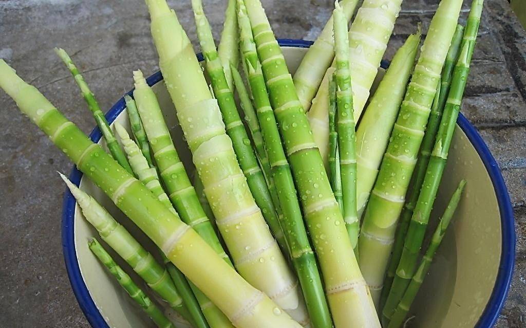 竹笋的这些营养功效你知道么,养生一定不能错过它,赶紧收藏!