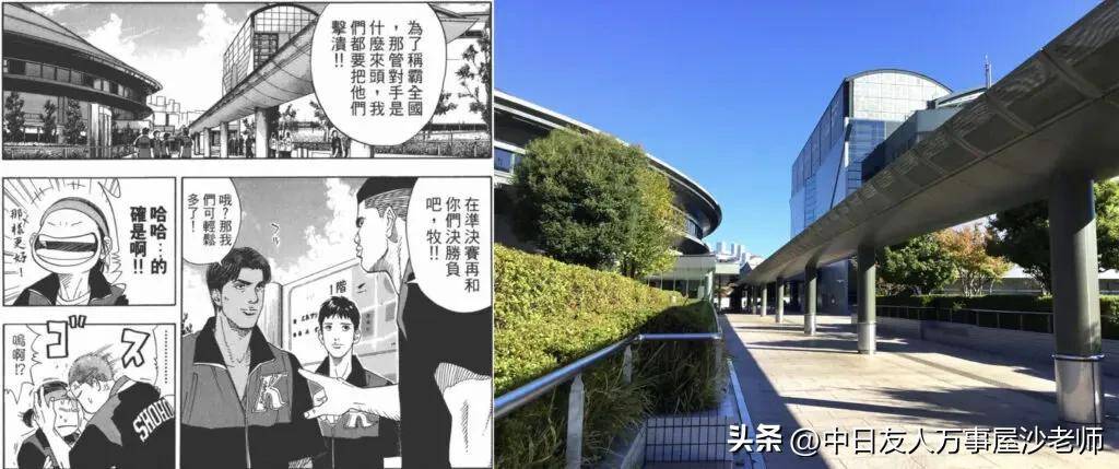 金铲之战-追击黄昏使徒（黑铁霸主之章）通关攻略