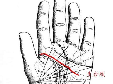 手相看寿命