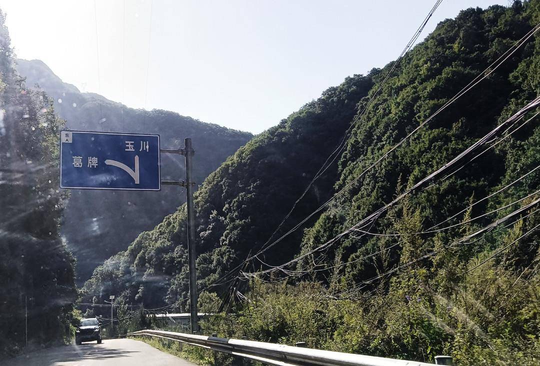 葛牌镇天气预报