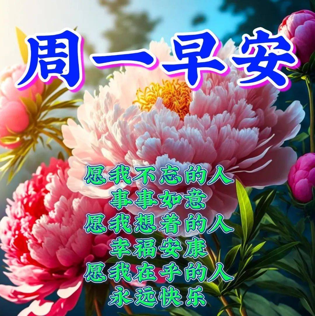 4月24日周一早安,新的一周,新的开始_生活_问候_平安
