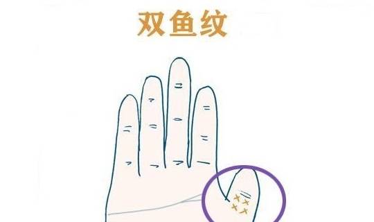 手掌中有哪几种纹路,一辈子大富大贵,注定会发财!_理财_财富_双鱼