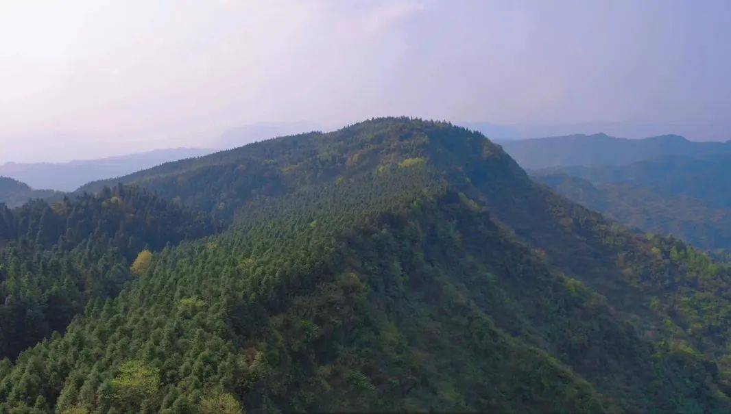 江津东胜凤凰山巅"风水宝地"金兰凤凰国际避暑房,夏天22°凉快_度假区