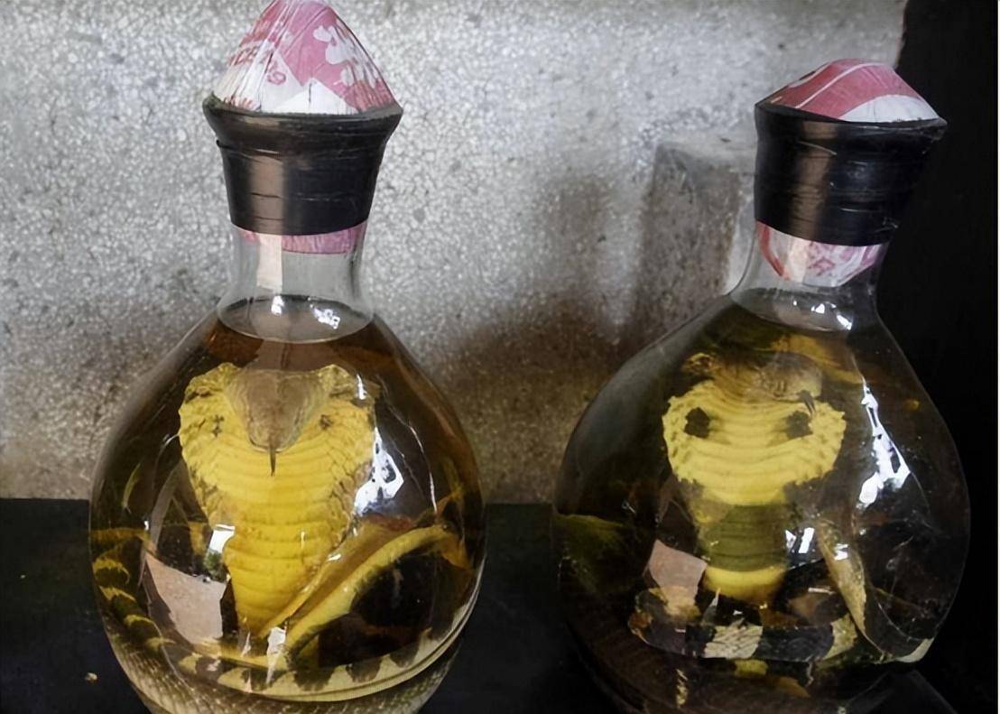 不知道从何时起,就有人传出蛇泡酒能够解百毒,而且有强身健体的效果.