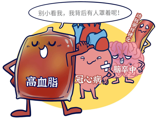 悦思立普：甘油三酯升高怎么办？吃什么才能有效降血脂？