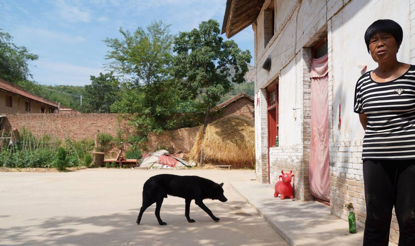 蜀犬吠日shǔ quǎn fèi rì四川多雨,那里的狗不常见太阳,出太阳