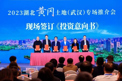 2023湖北黄冈土地（武汉）专场推介会成功举行 (图4)