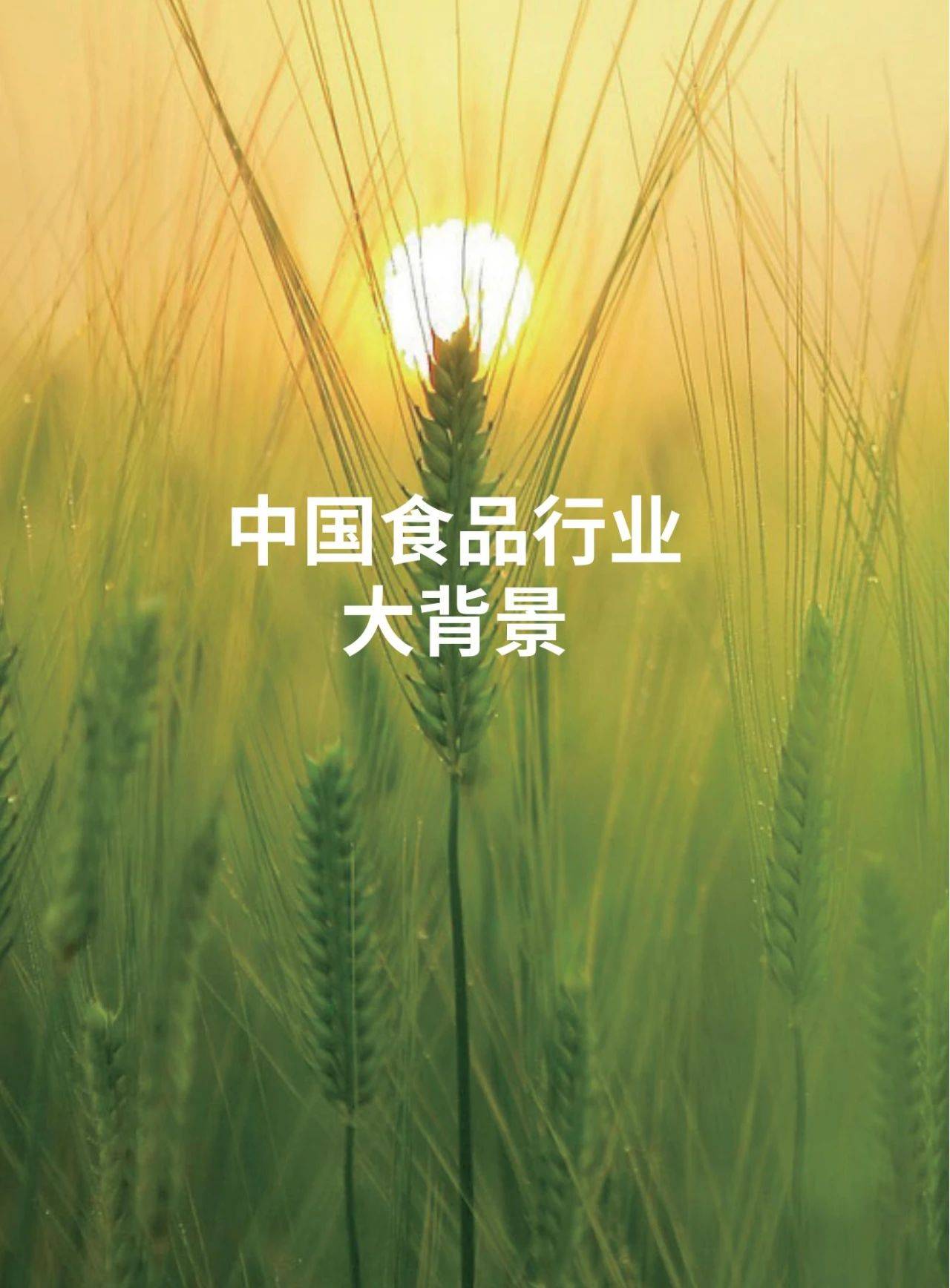 68页|2023中国食品消费趋势白皮书