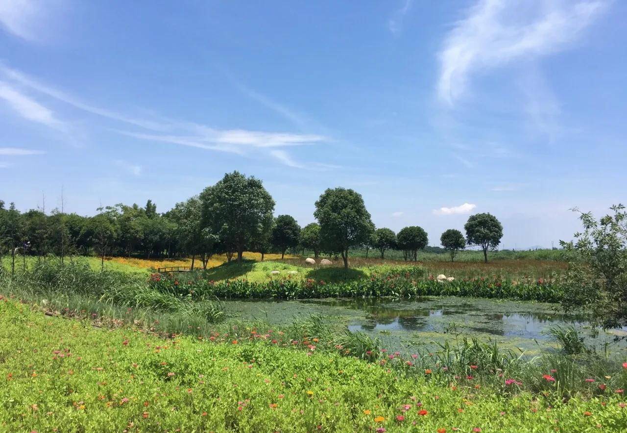 原创            浙江省湖州市下渚湖湿地风景区旅游攻略(下渚湖旅游)
