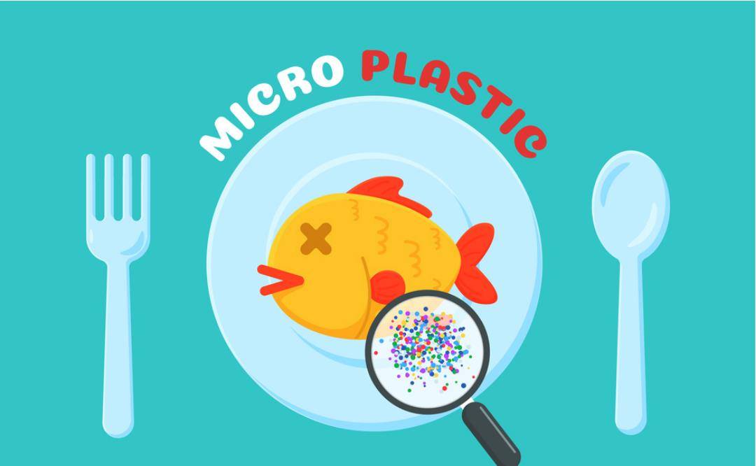 体内的微塑料会遗传吗?_影响_研究_环境