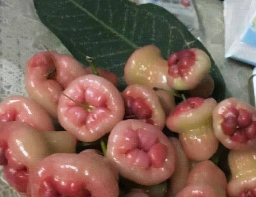 pumarosa fruit in english