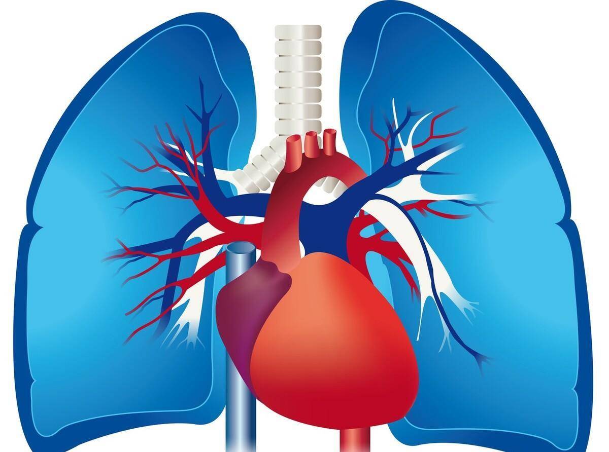 男孩陪妈妈检查意外发现病情,竟悄无声息患上严重的肺源性心脏病_疾病