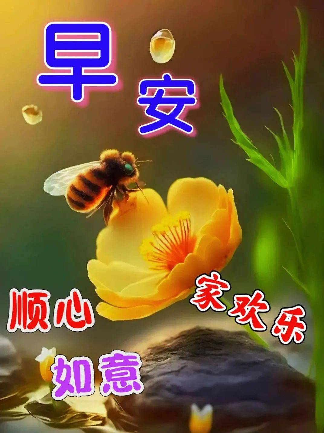 2023年5月3日周三早上好问候祝福动态表情图片 周三最新早安问候祝福