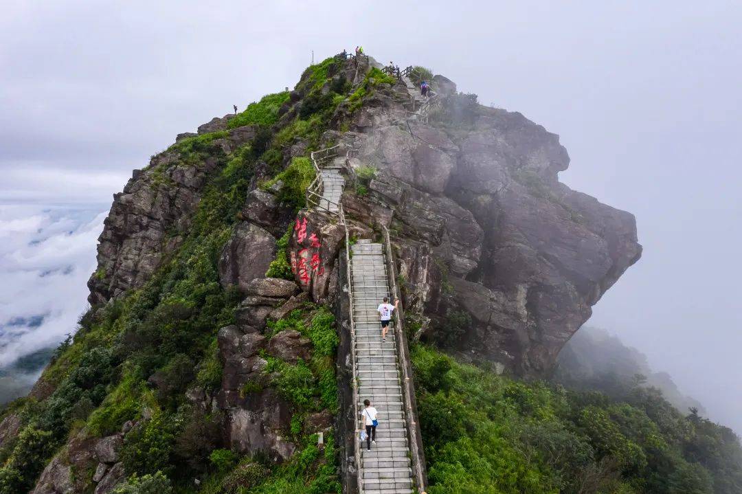 据统计,五一假期,银瓶山森林公园谢岗景区,银山湿地公园等热门景区