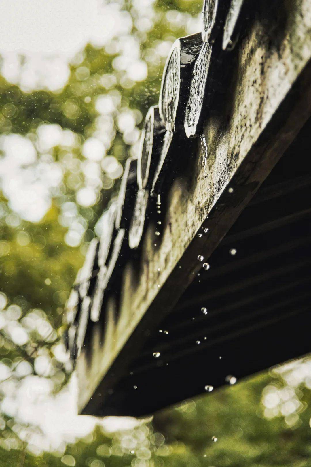 下雨天怎麼拍?記錄雨季的詩情畫意!_雨滴_雨水_對焦