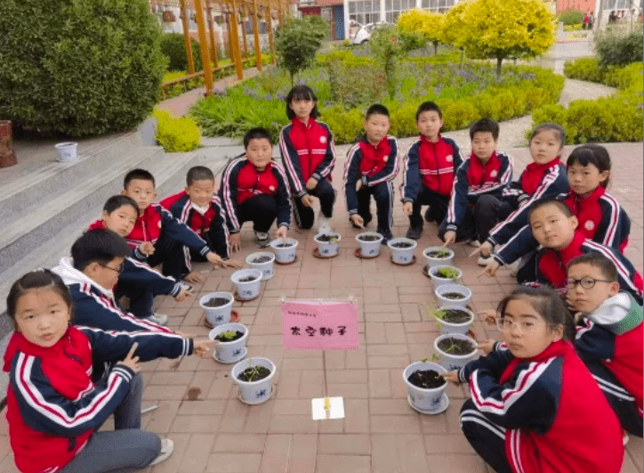 种植白芨种子（桑黄中药材销售与收购地址） 第10张