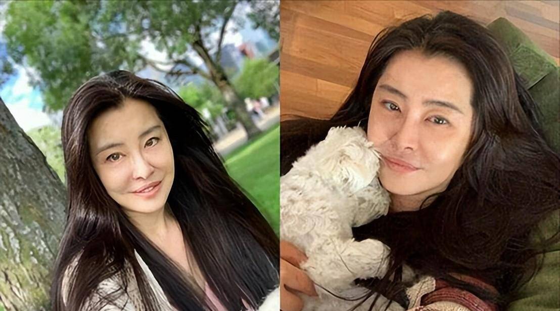 张丹峰_毕滢_李嘉欣