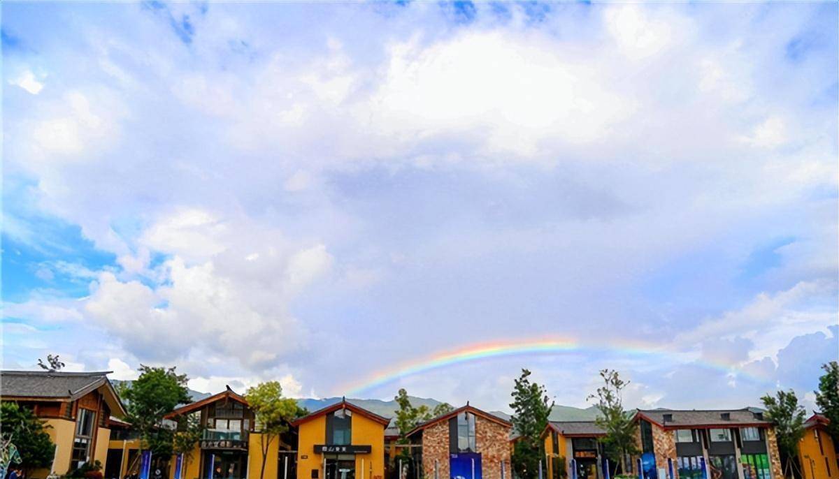 李亚鹏,终究为自己的"夜郎自大"付出了代价_公司_泰和_友联