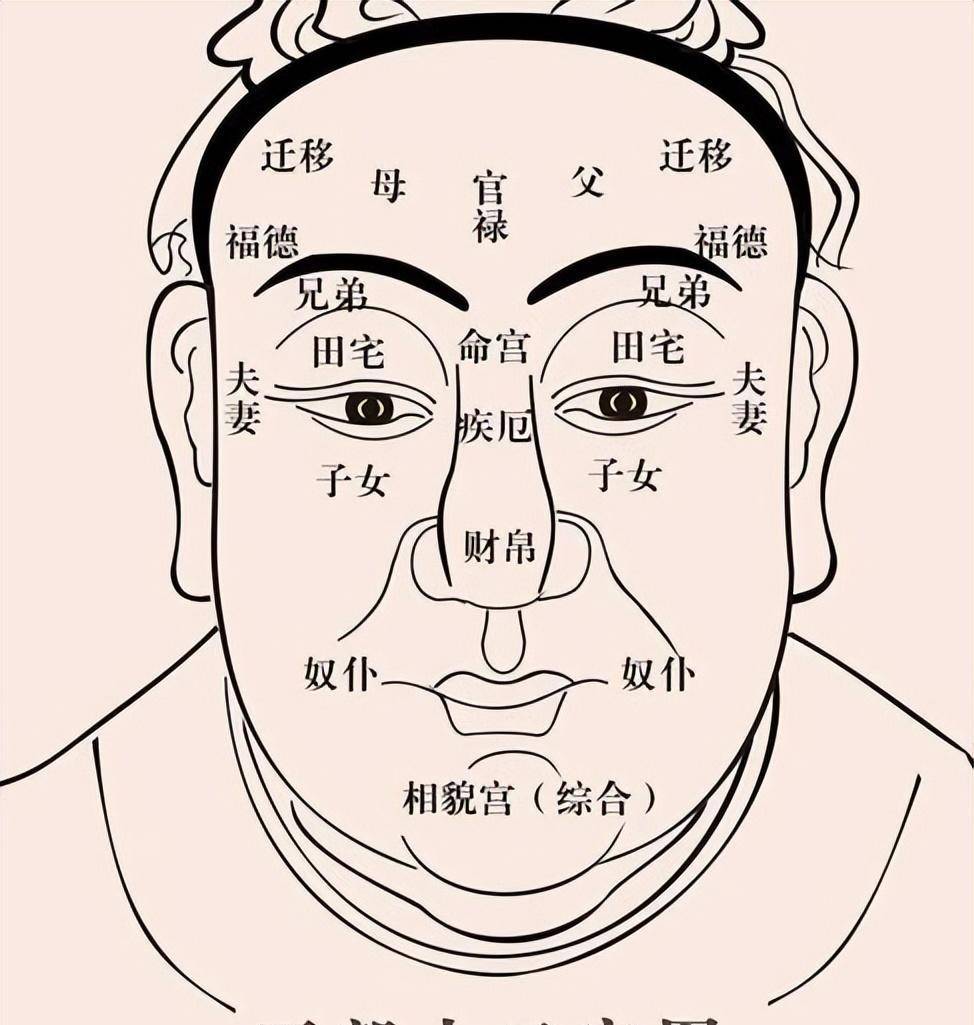 老祖宗的识人能力准确吗?_眉毛_俗语_鼻子