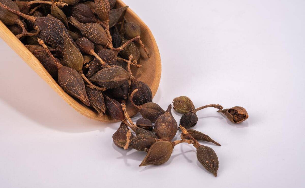 平时眼睛又干又痒,眼总感觉眼睛里有东西想揉一揉,眼皮又红又肿又痛