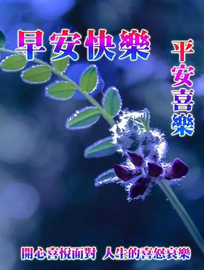 9张最有创意好看的早安早上好图片带字 2023唯美夏天早安问候祝福图片