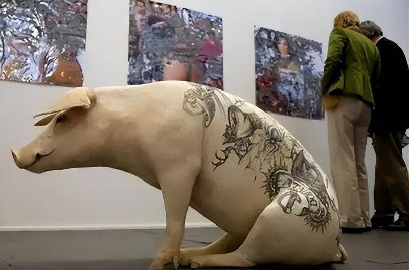活猪纹身吃零食喝饮料,猪皮卖70万,专供香奈儿定制包_维姆·德尔瓦
