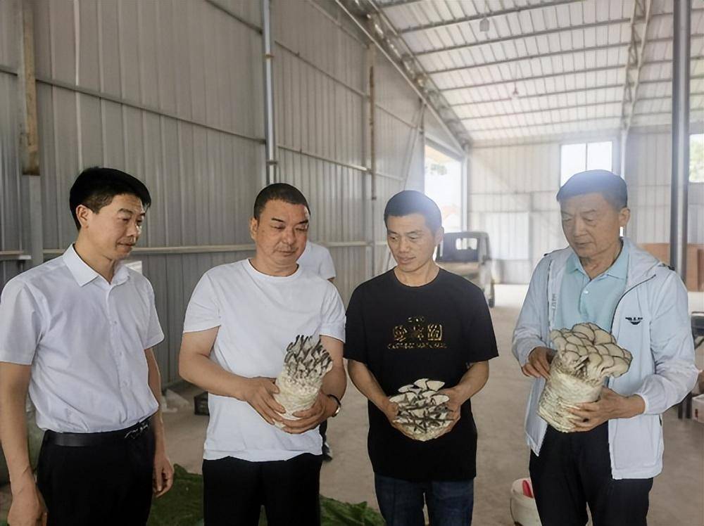 武汉城市圈商会赴华菇食用菌调研考察 (图1)
