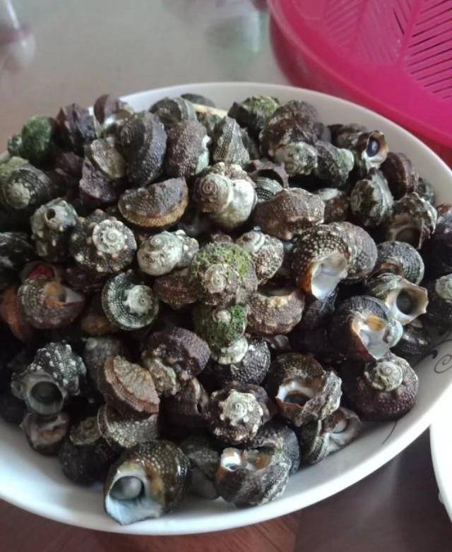 腊螺的正确吃法,螺肉鲜嫩爽口,再配上鲜美的蘸料,一盘都不够吃_挑出来
