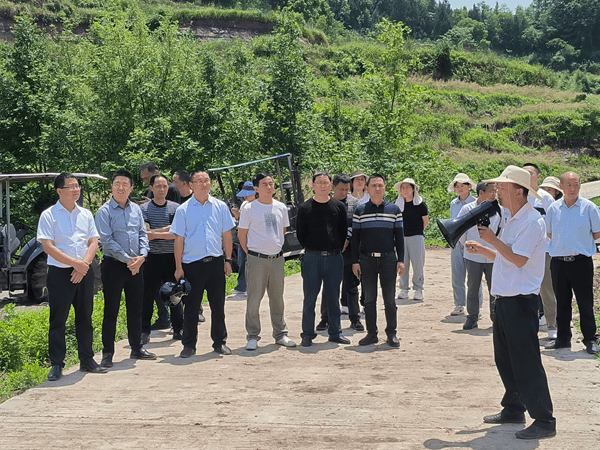 达川区石梯镇图片